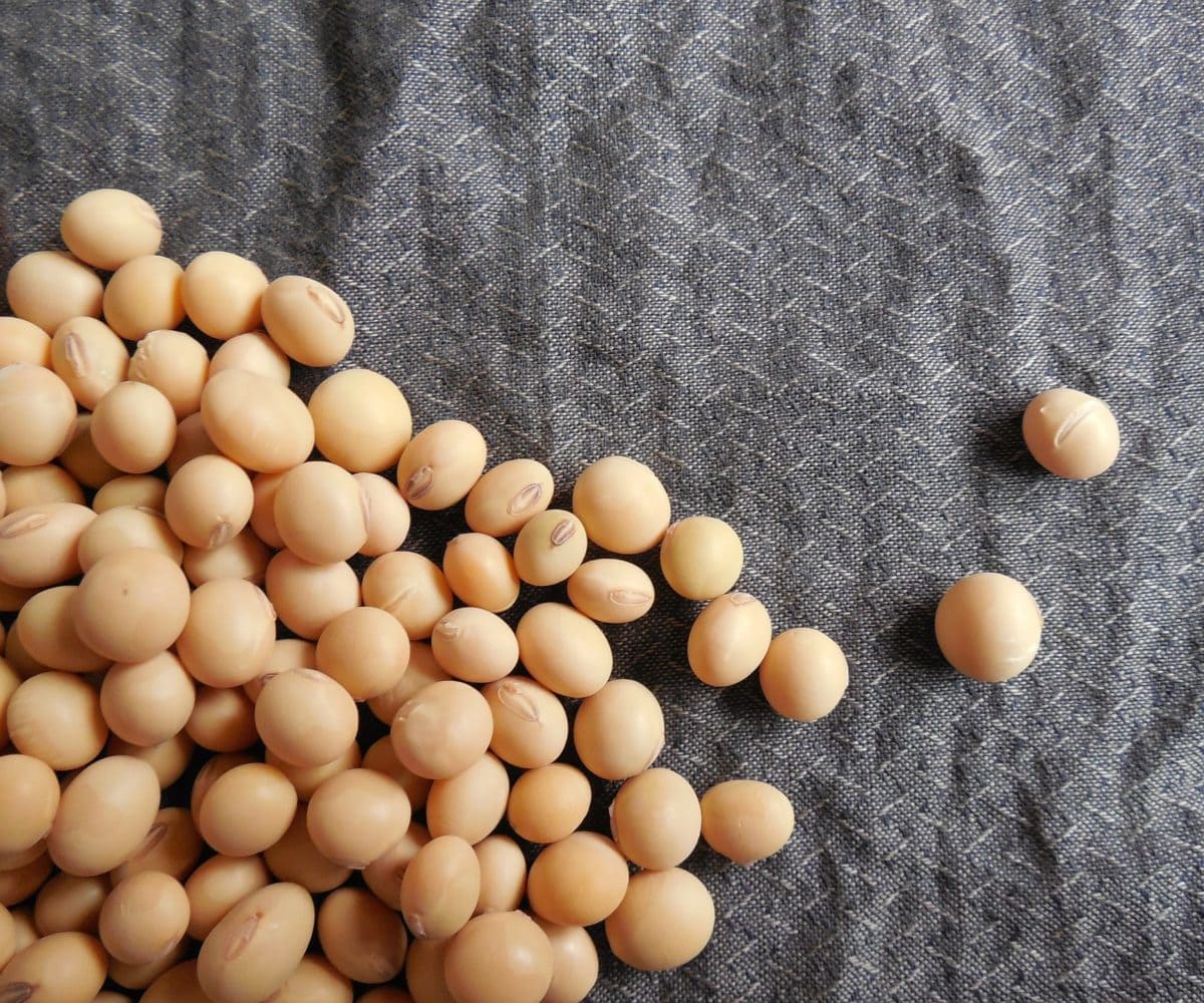 Veganer fressen meinem Essen das Essen weg