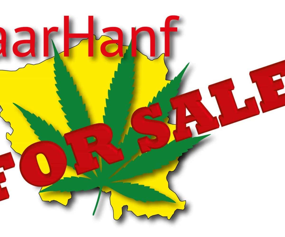Aufräumen: SaarHanf for sale