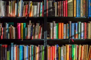 Bücher, viele Bücher… Bücher, viele Bücher…