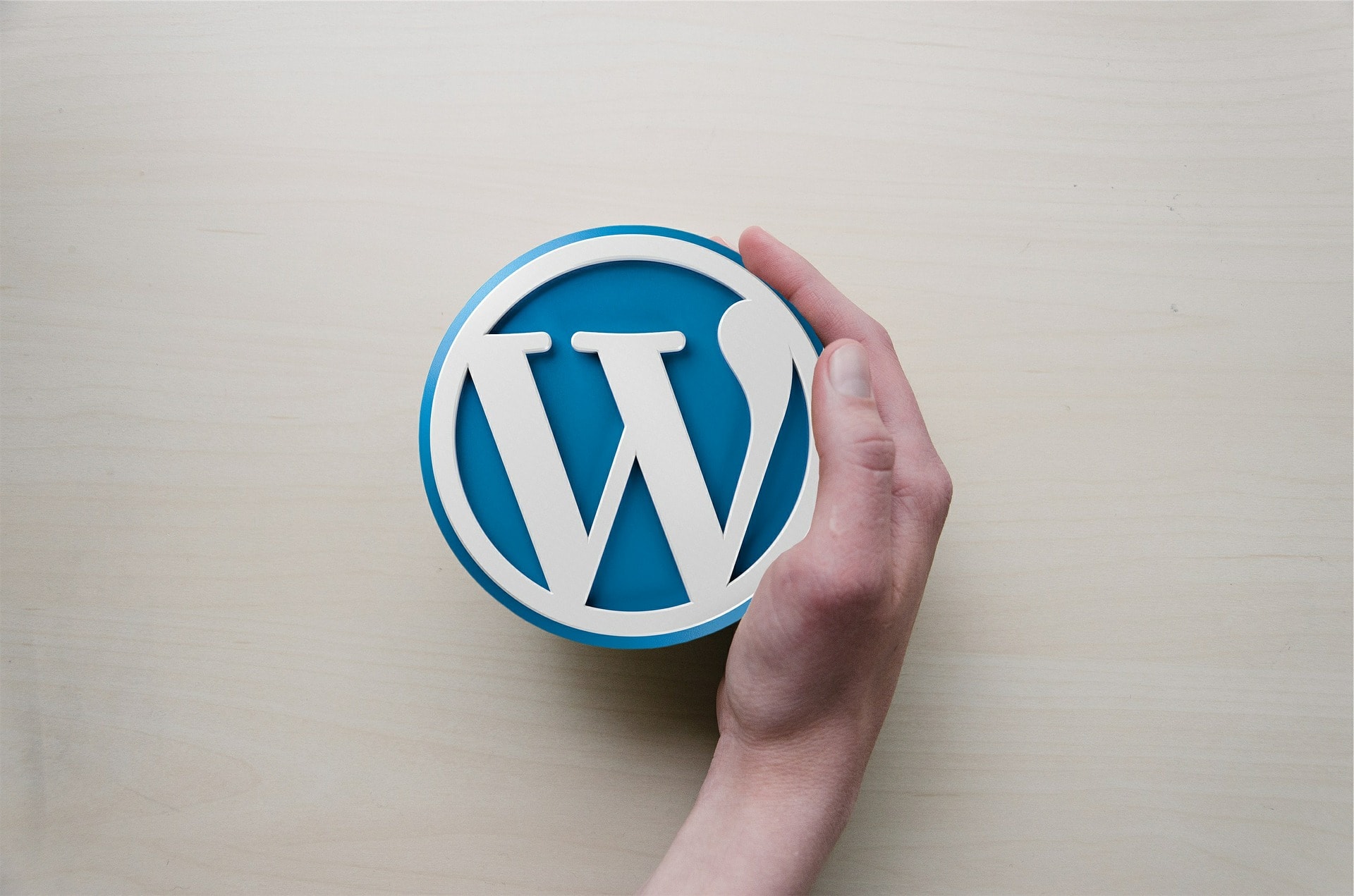 Wordpress DSGVO-Edition Wordpress DSGVO-Edition