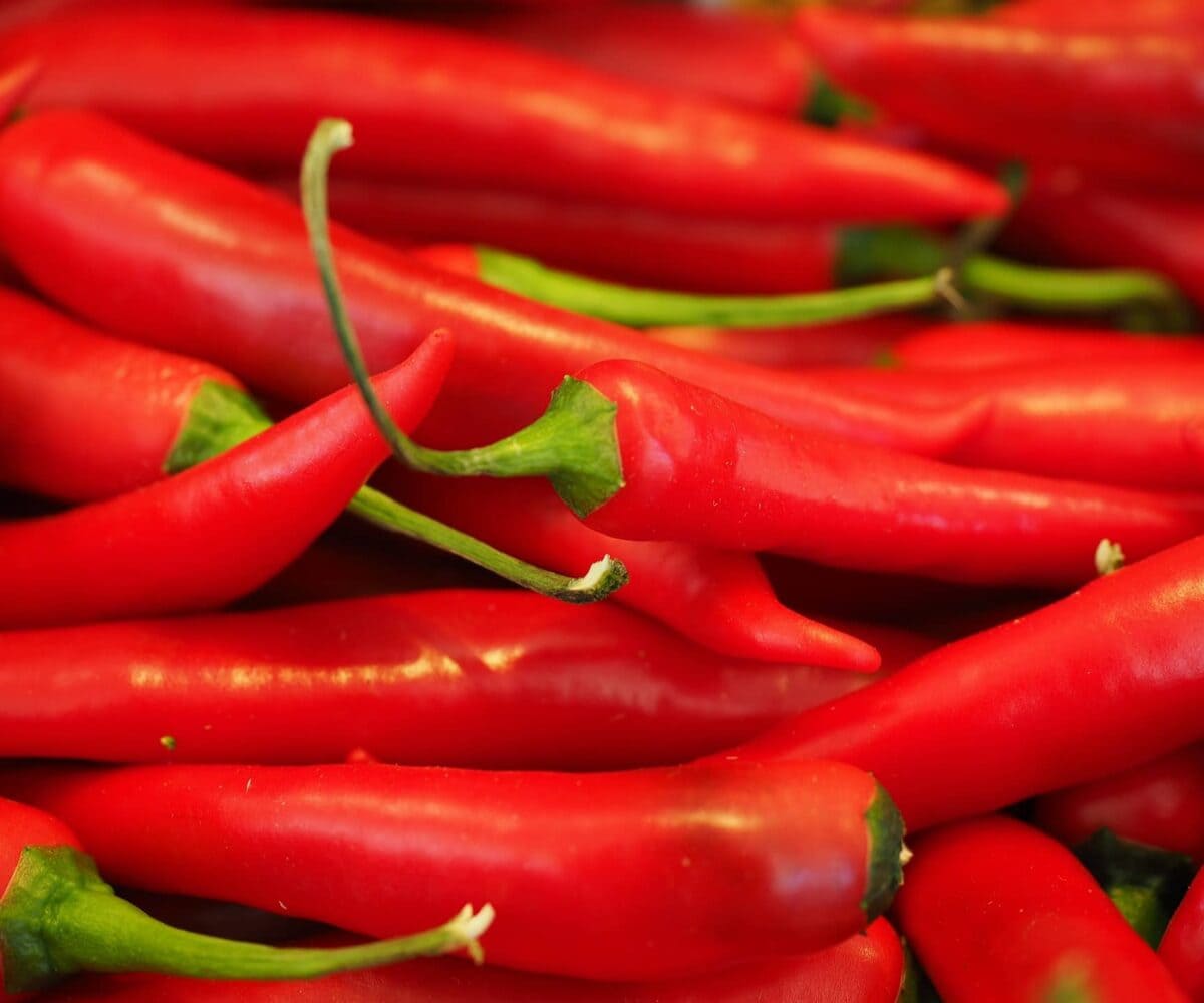 Die Unberechenbarkeit von Chilis