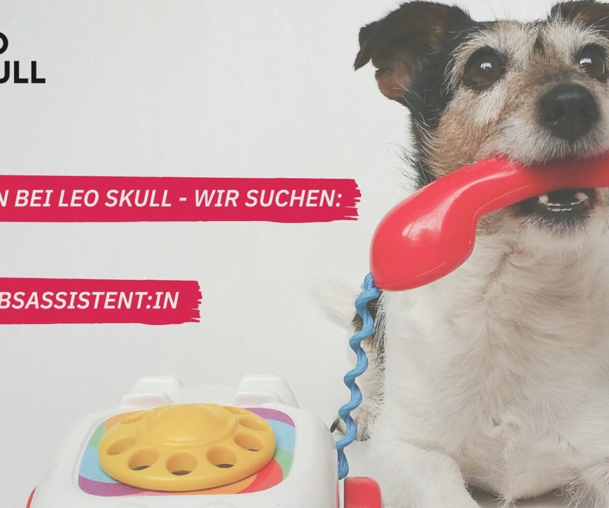 Neue Stellen bei Leo Skull